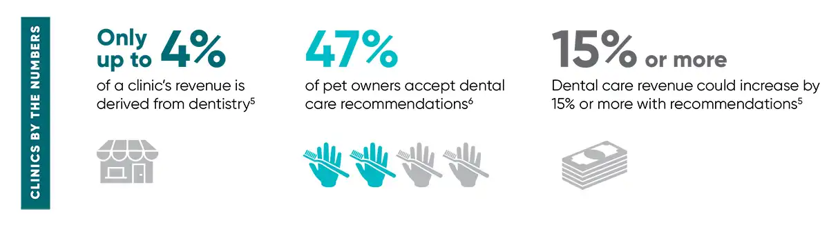 Clinics by the numbers.webp