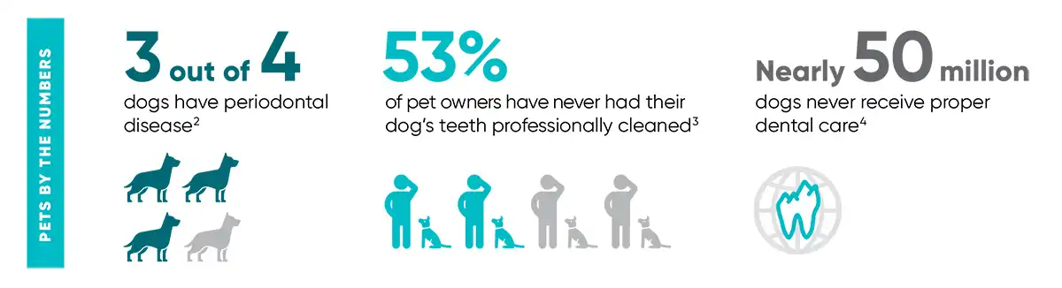 Pets by the numbers.webp