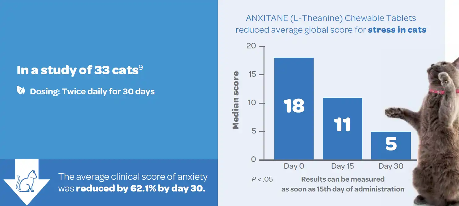 In a Study of 33 Cats.webp