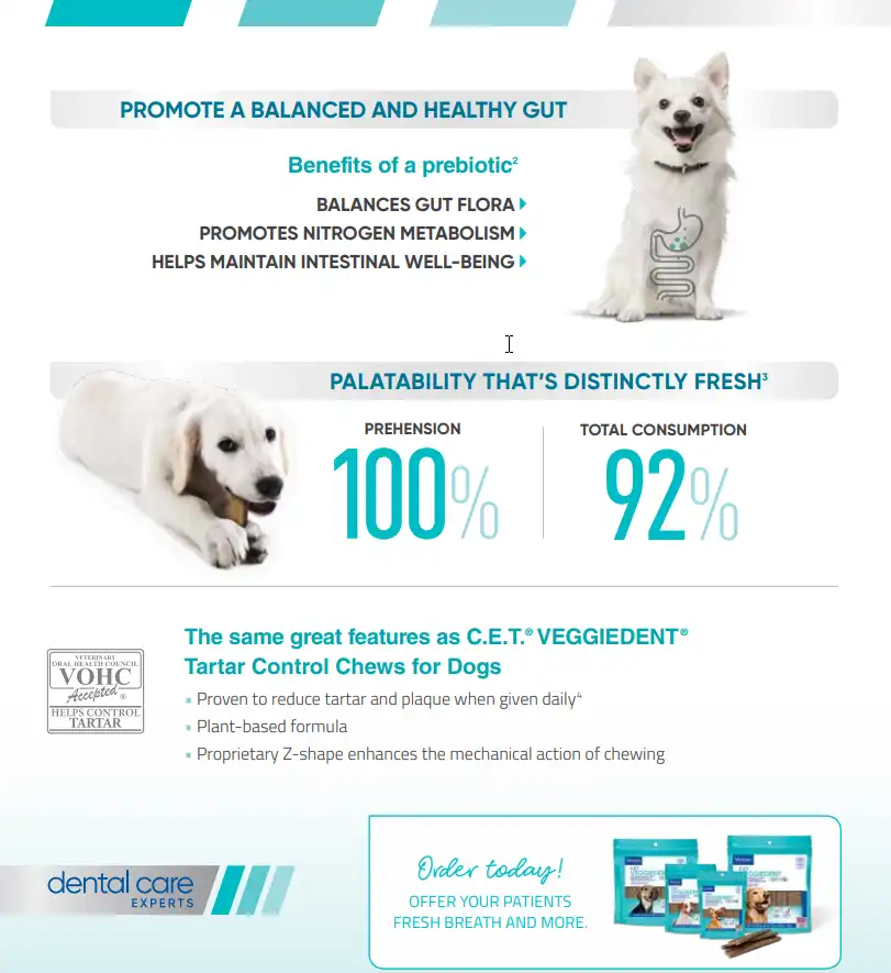 VDF Sell Sheet 2.webp