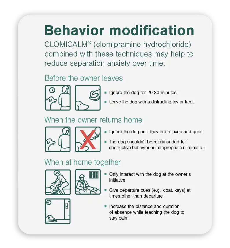Clomicalm-behavior-mod.webp