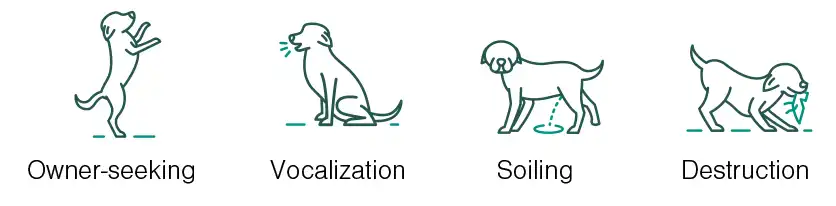 clomicalm_dog_chart.webp