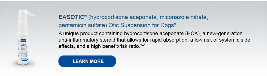 EarHealth_Easotic_banner_pic.jpg (VIRC-341050_wireframes_v2c)