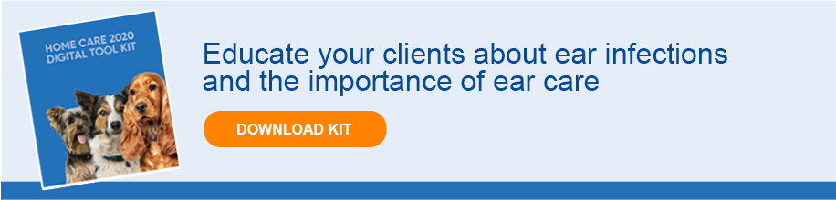 derm_cleanse_banner.jpg (VIRC-341050_wireframes_v2c)