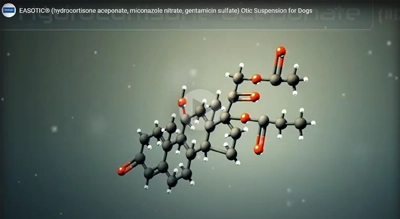 Hydrocortisone Aceponate Activation_Video.webp