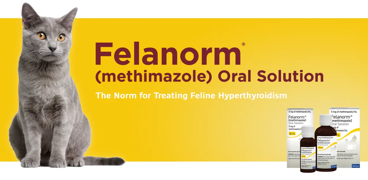 Felanorm_hero_current_bottles (b2b_hero).webp