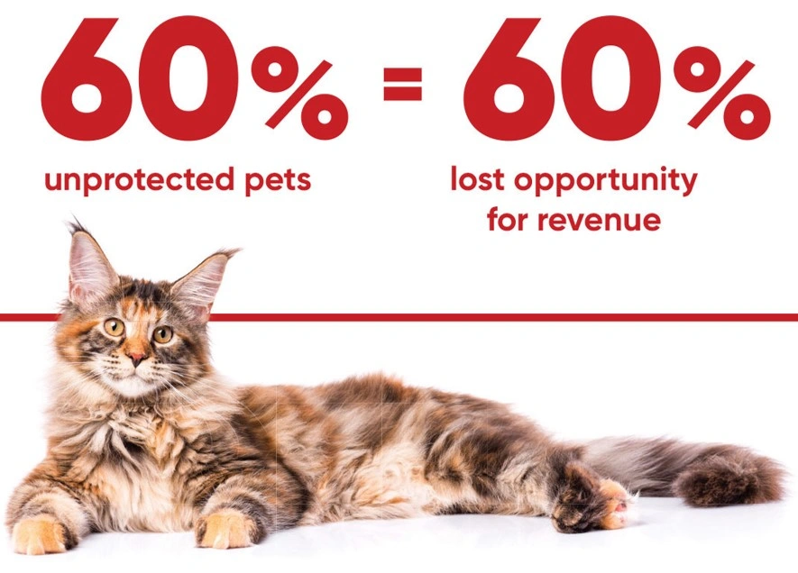 60 Unprotected Pets Equals 60 Lost Opportunity.webp