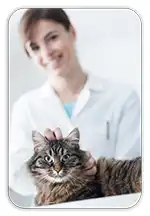 itrafungol_site_Vet-Cat_100px.webp