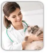 itrafungol_site_Vet-Cat_100px_2b.webp