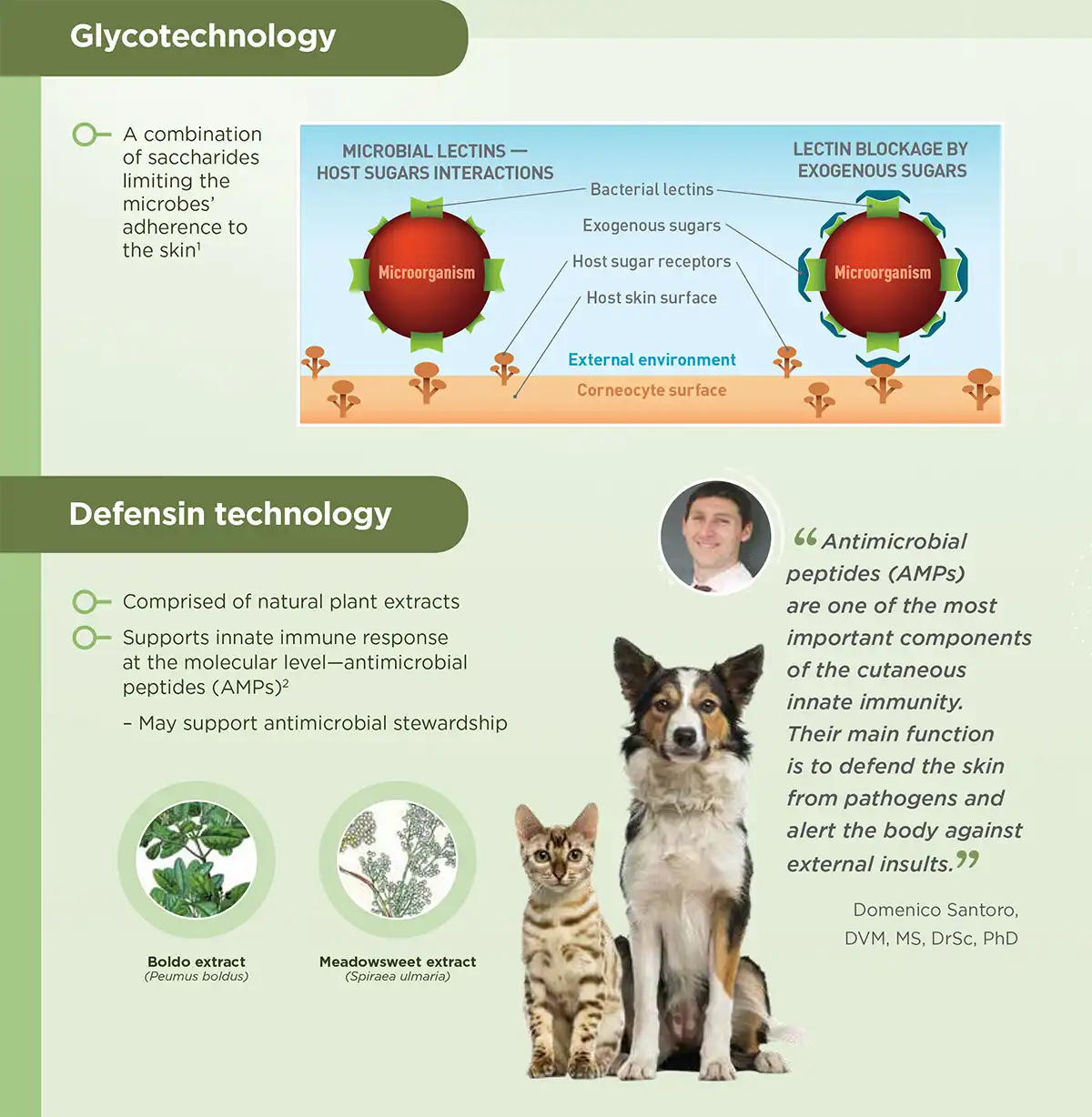 glycotechnology_defensin_chart_Keratolux.webp