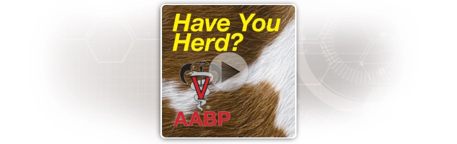 HaveYouHerd_AABP_Tenotryl5.webp