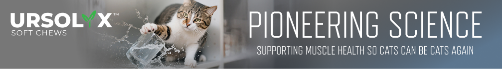 Key Image1-Banner.png