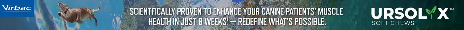 URSOLX_banner (1).webp