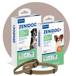 250x250 ZENIDOG Collar.webp