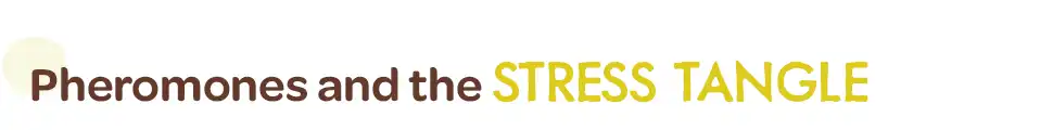 Pheromones _ the stress tangle - 970x120.webp