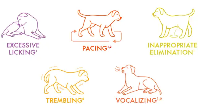 Stressor signs.webp