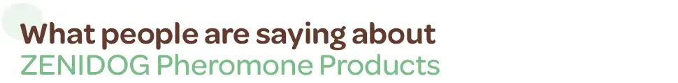 What people are saying - 970x120_.webp