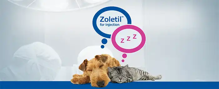 Zoletil-Advert_banner_700px.webp