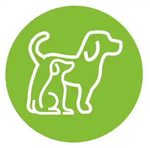 Araydia-Detailer_icons_dog.webp
