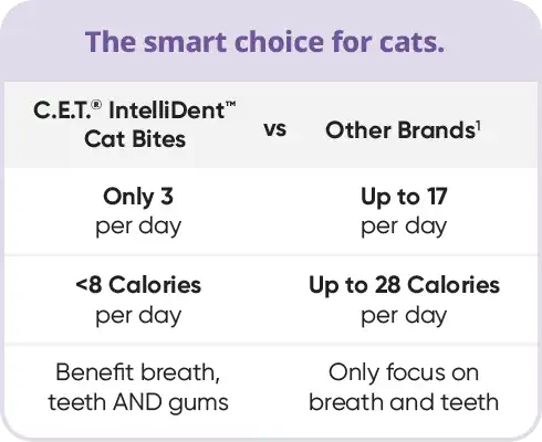 img_chart_smartChoice.webp