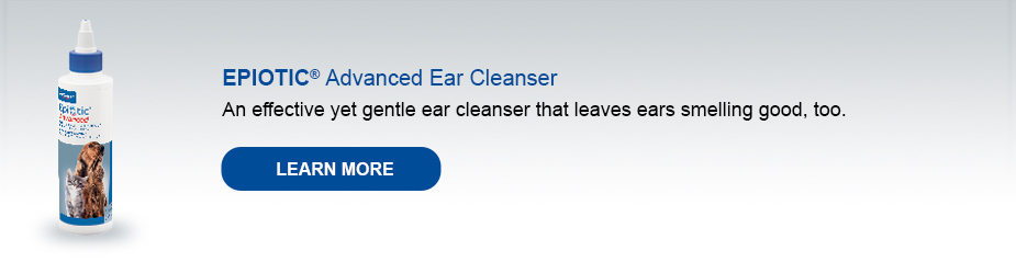 Ear_Cleansing_epiotic_banner_2.jpg (VIRC-341050_wireframes_v2c)