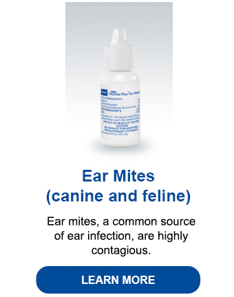 Ear_Mites_teaser_art.jpg