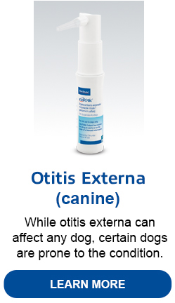 EarHealth_Otisis_Externa_pic2_032025.jpg