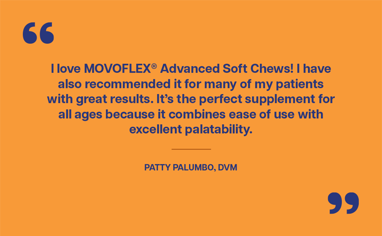 MOVOFLEX_Advance_B2B_quote1.jpg