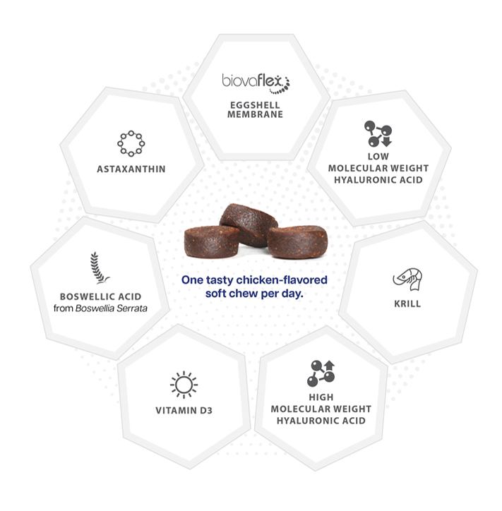 MOVOFLEX_Ingredients_chart.jpg