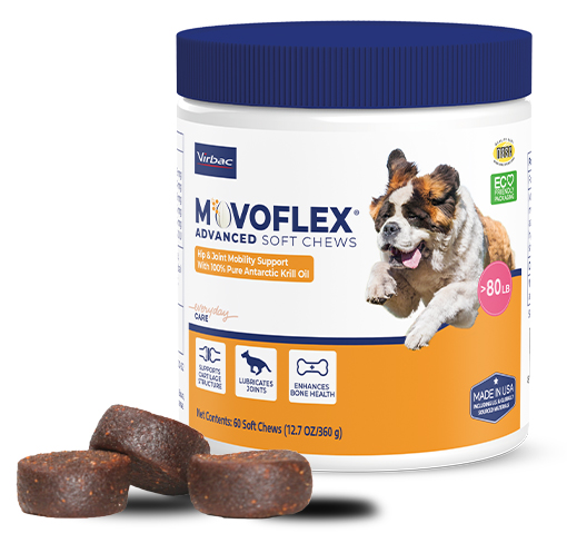 MOVOFLEX_content_prod_image.jpg