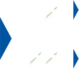 Nephrodyl_detailer-art6.webp