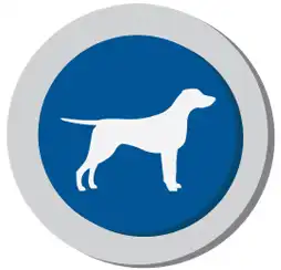 RILEXINE_Tasty_icon.webp