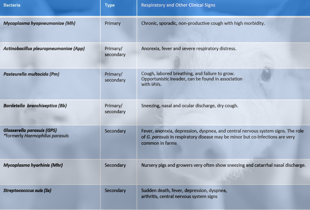 SRD_PRDC_chart_5.jpg