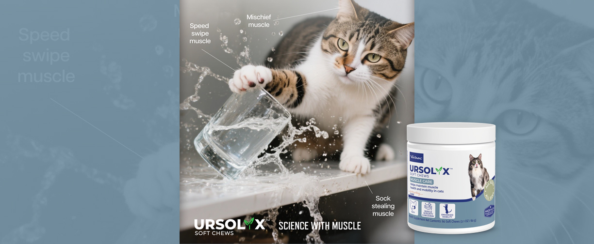 URSOLYX_Cat_Email_Banner_102025.jpg