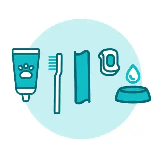 CET_Dental_B2B_Website_toothbrush_icons.webp