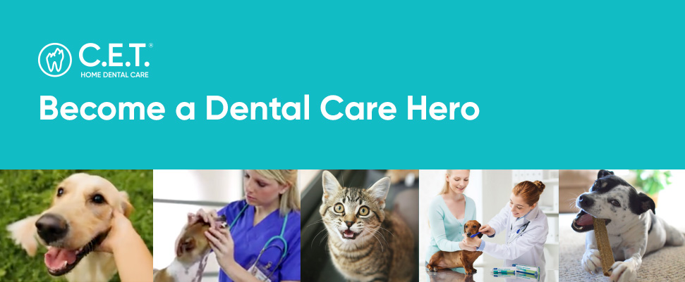 VBC-13633_CET_Dental_B2B_Website_hero_banner.jpg