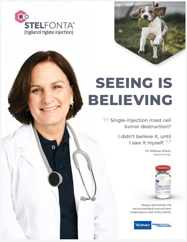 Stelfonta-Detail-Aid-7-7-21.pdf