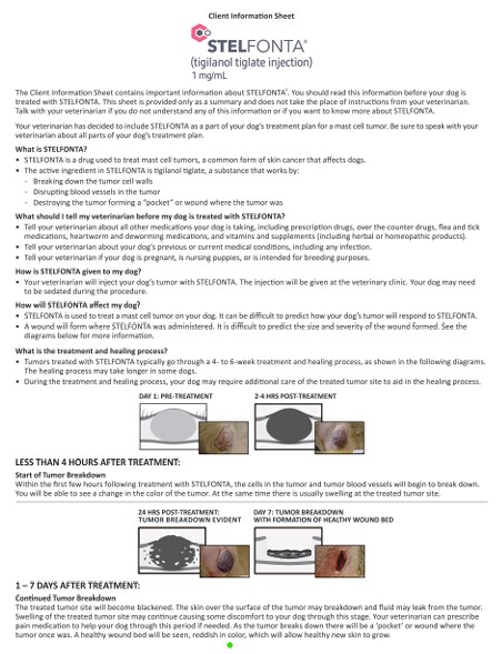 Stelfonta-ClientInfoSheet-FNL2.pdf