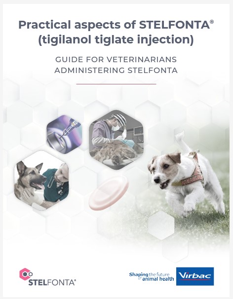 Practical-aspects-of-Stelfonta-FINAL.pdf