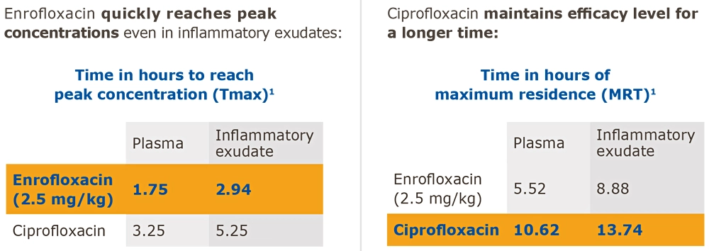 Tenotryl_Cattle_design_chart2.webp