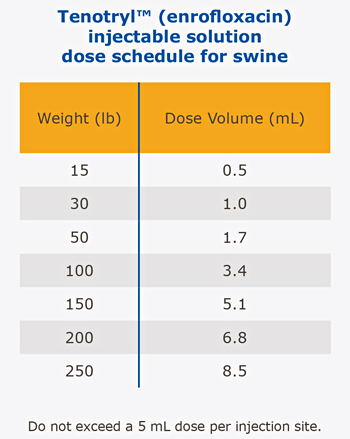 Tenotryl_Swine_dosing.jpg