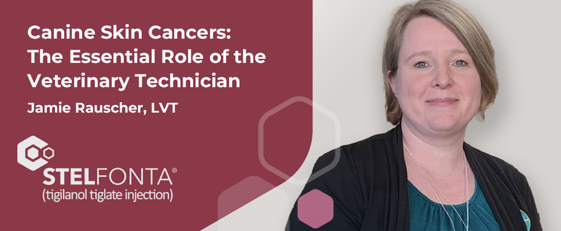 Canine Skin Cancers Hero.jpg