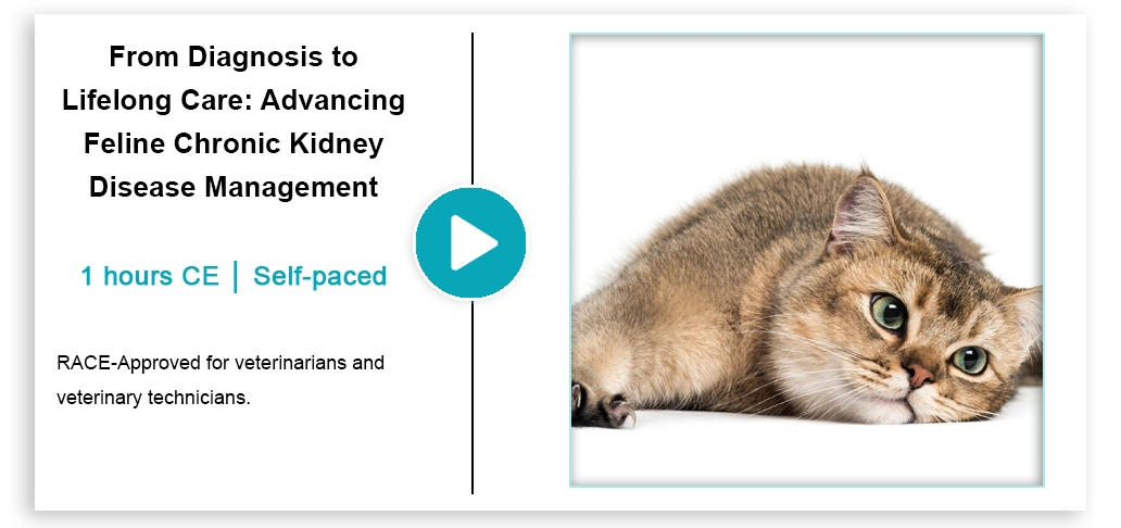 Feline_Chronic_ce-learning_hero.webp