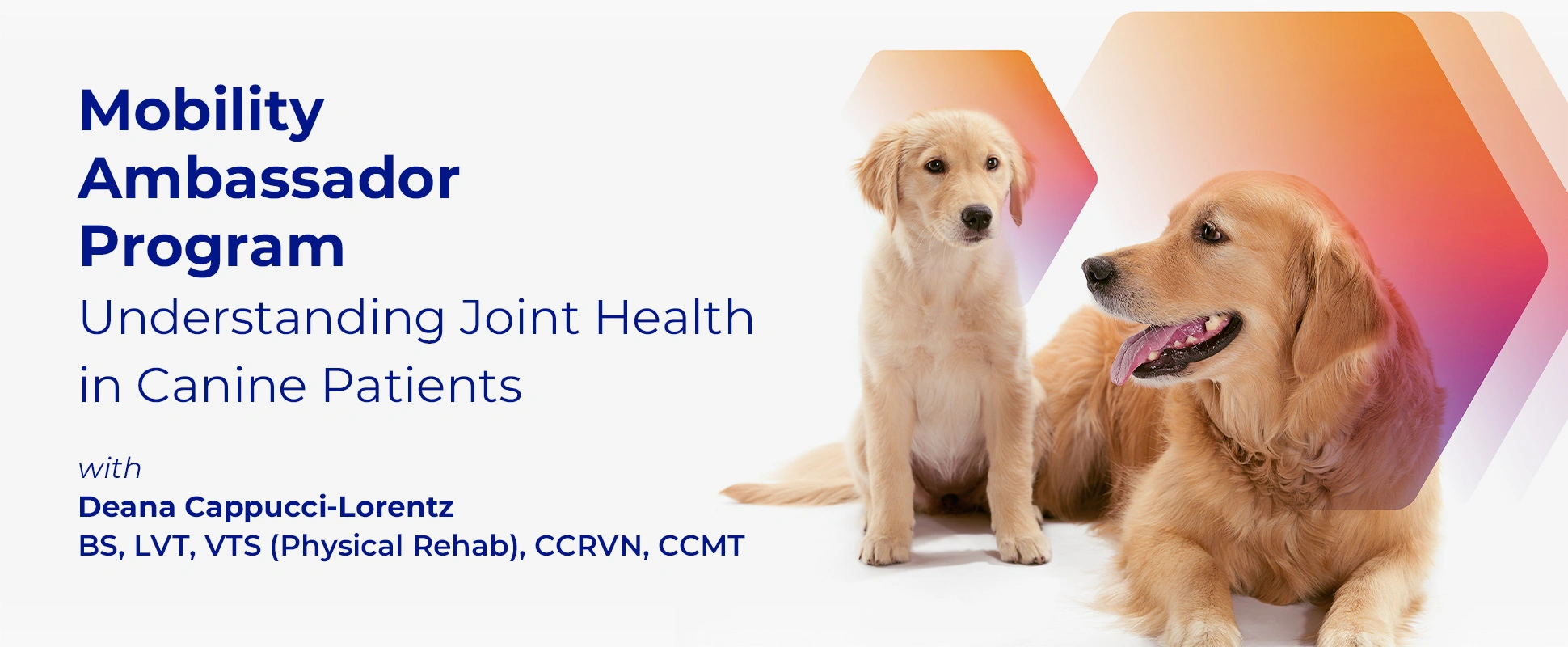 Mobility Ambassador Program (2).webp