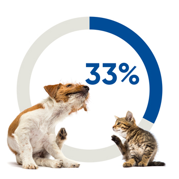 img_33-percent_350x350.jpg (2023339763)