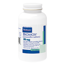 TP_BOTTLE_BIOMOX 50mg_US_WEB_210X210_face.png