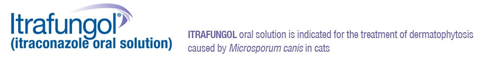 itrafungol_logo_statement_2B.webp