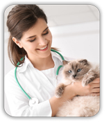 itrafungol_site_Vet-Cat_100px_2b.jpg