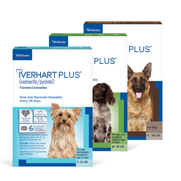 Iverhart_Plus_600x_2026.jpg