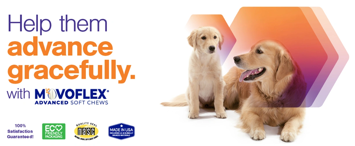 Advance Gracefully Movoflex Advanced.webp